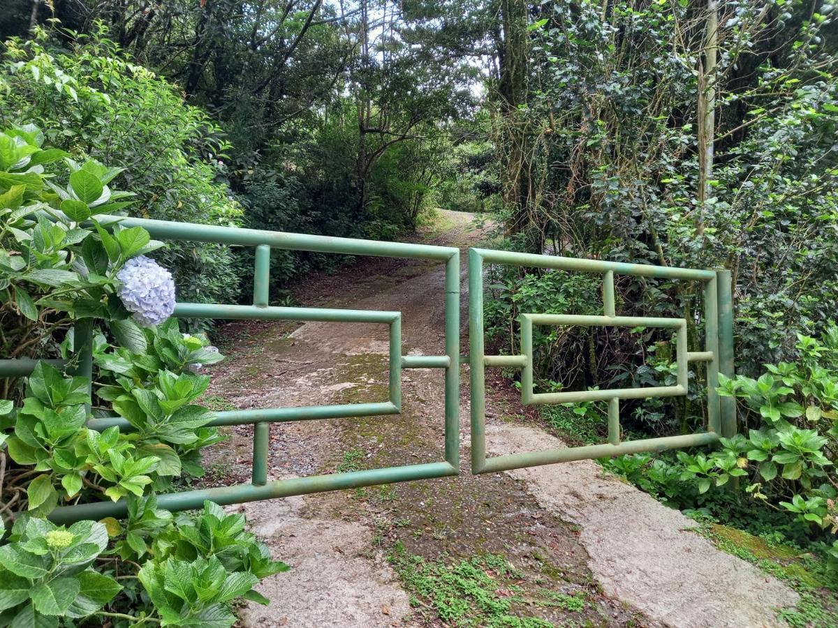 Casa De Montana Tica Linda Villa Monteverde Bagian luar foto
