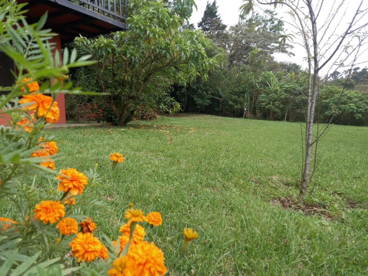 Casa De Montana Tica Linda Villa Monteverde Bagian luar foto