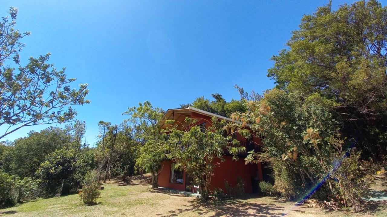 Casa De Montana Tica Linda Villa Monteverde Bagian luar foto