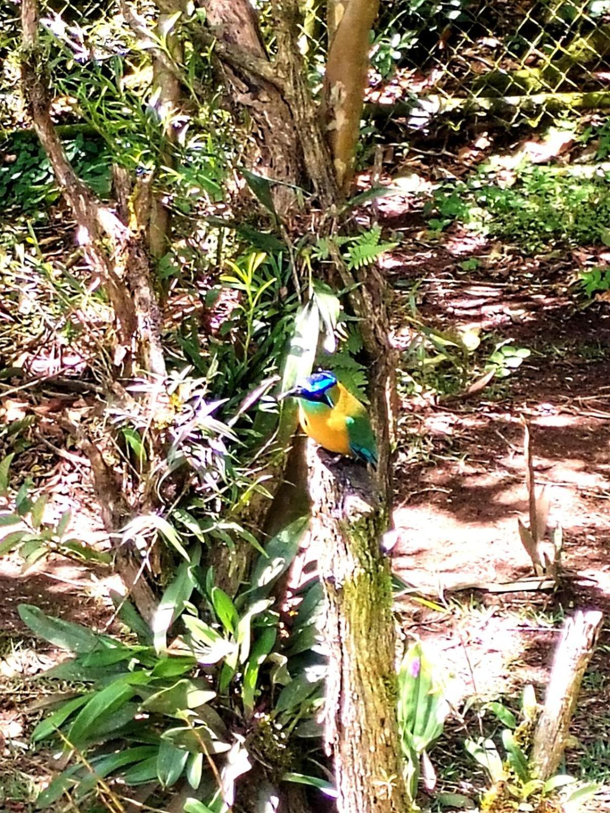 Casa De Montana Tica Linda Villa Monteverde Bagian luar foto